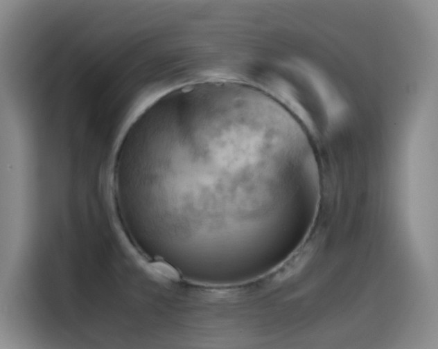 X0000114431381200910161326