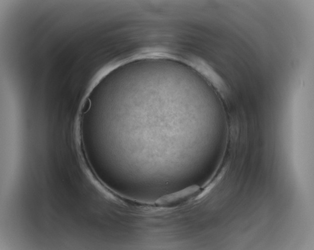 X0000114431382200910161326