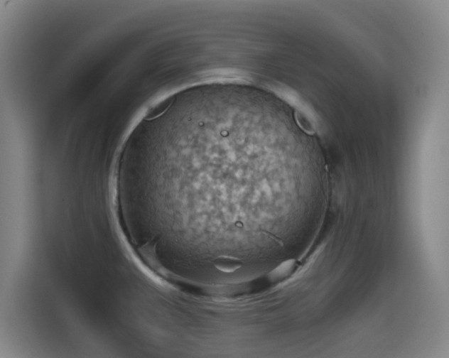 X0000114431383200910161326