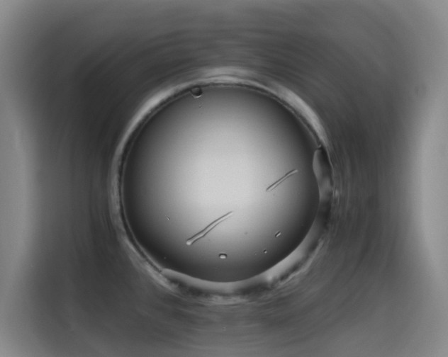 X0000114431384200910161326