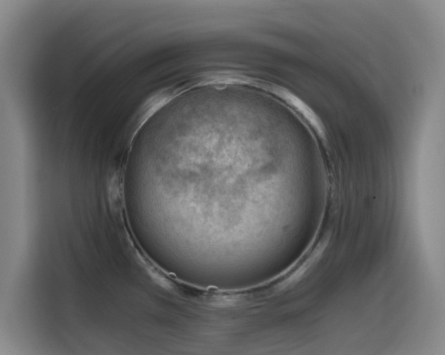 X0000114431385200910161326