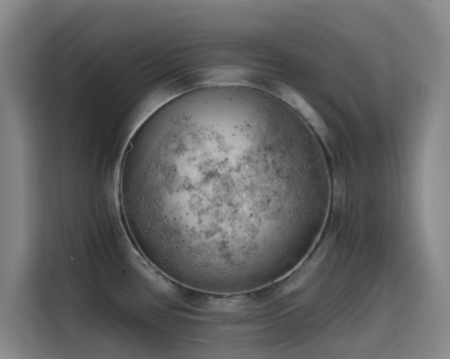 X0000114431386200910161326