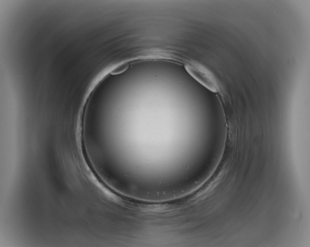 X0000114431387200910161326