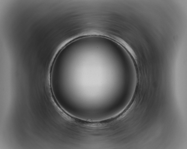 X0000114431388200910161326