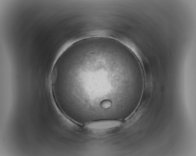 X0000114431389200910161326