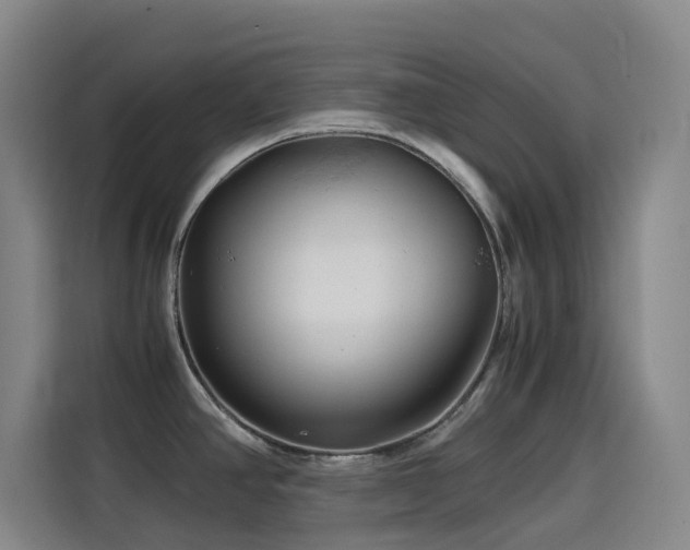 X0000114431390200910161326