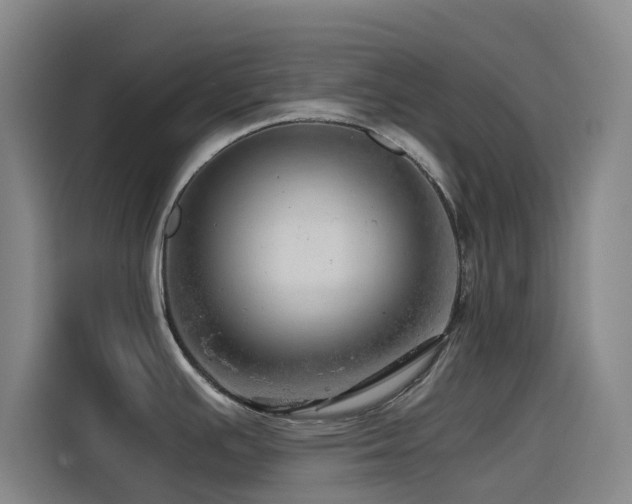 X0000114431391200910161326