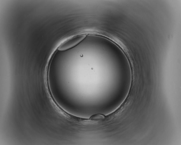 X0000114431392200910161326