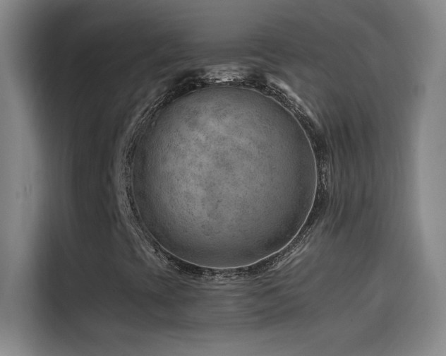X0000114431393200910161325