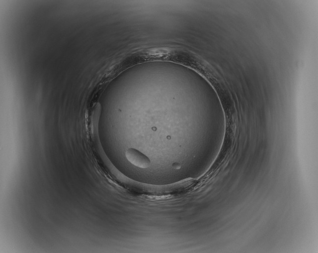 X0000114431394200910161325