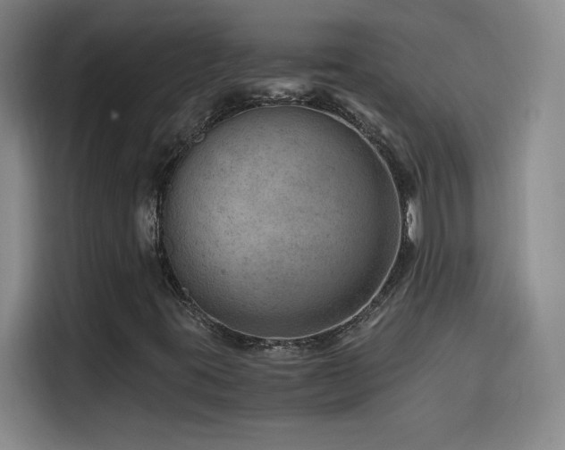 X0000114431395200910161325