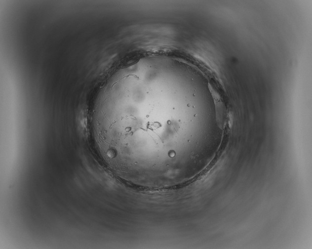 X0000114431396200910161325
