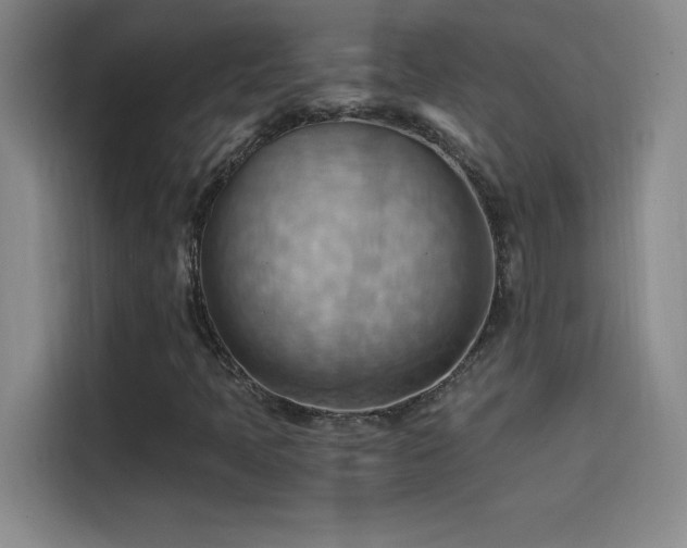 X0000114431397200910161325
