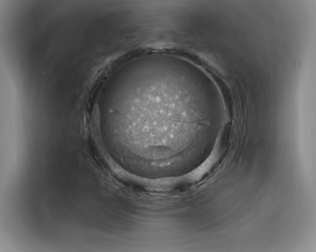 X0000114431398200910161325