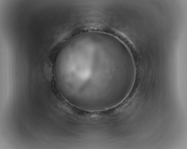 X0000114431399200910161326
