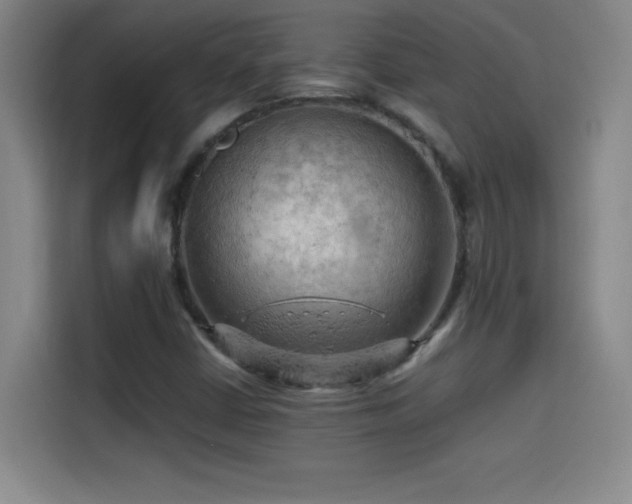 X0000114431402200910161326