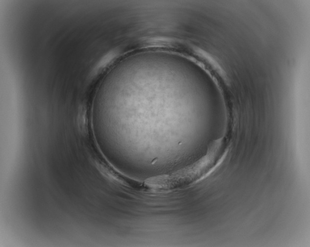 X0000114431403200910161326