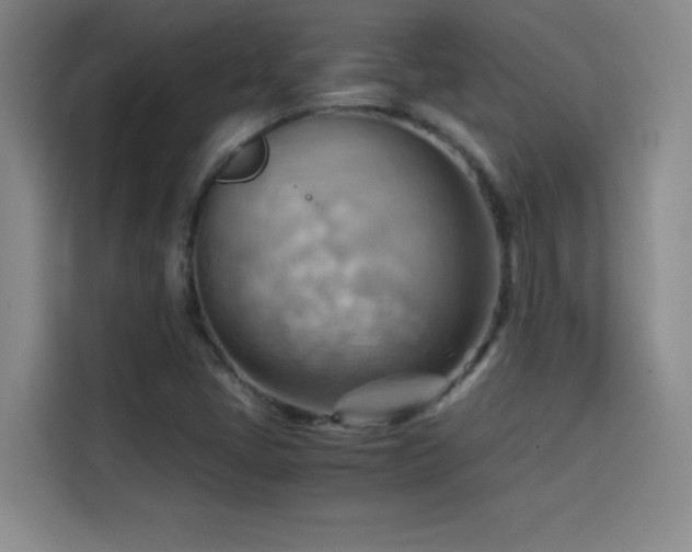 X0000114431405200910161326