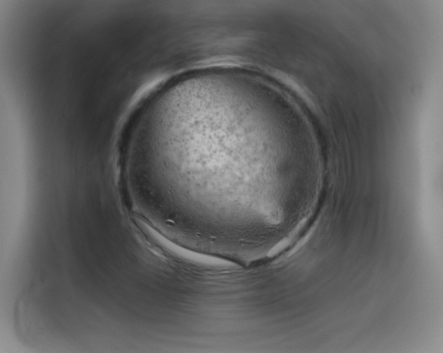 X0000114431406200910161326