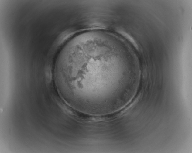 X0000114431407200910161326