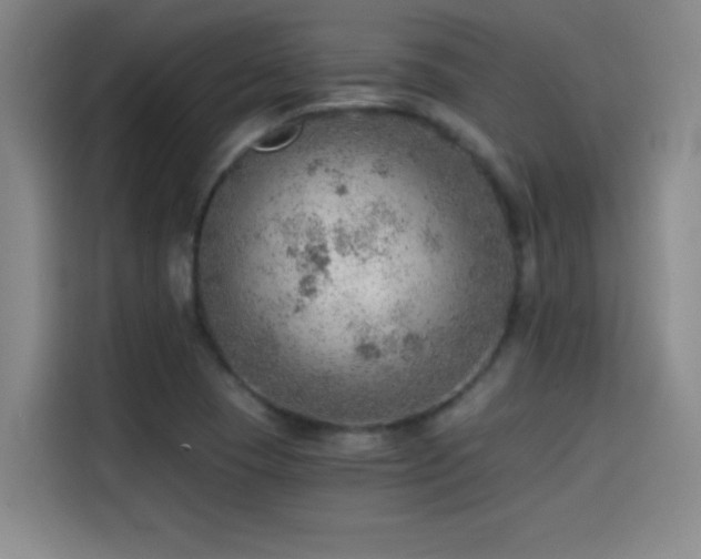 X0000114431409200910161326