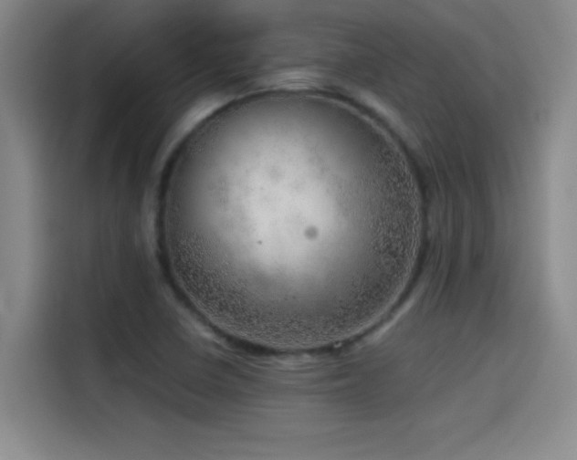 X0000114431410200910161326