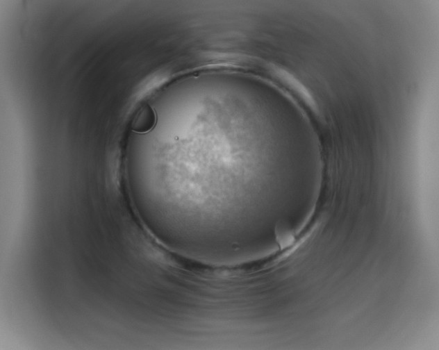 X0000114431411200910161326