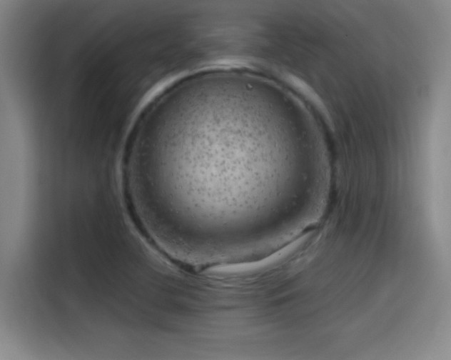 X0000114431412200910161326
