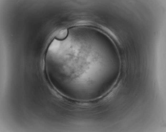 X0000114431413200910161326