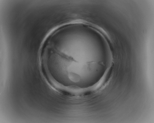 X0000114431414200910161326