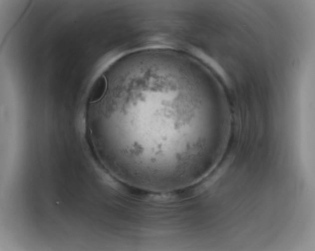 X0000114431415200910161326