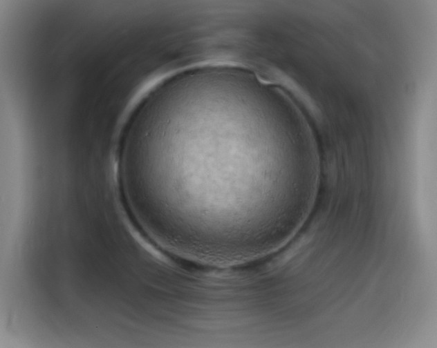 X0000114431416200910161326