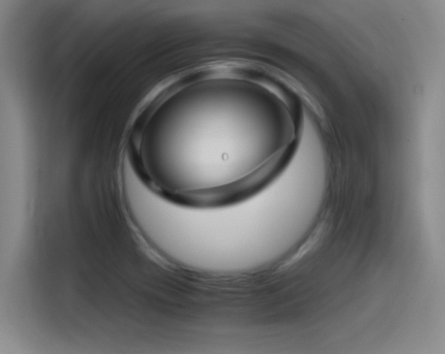 X0000114431417200910161326