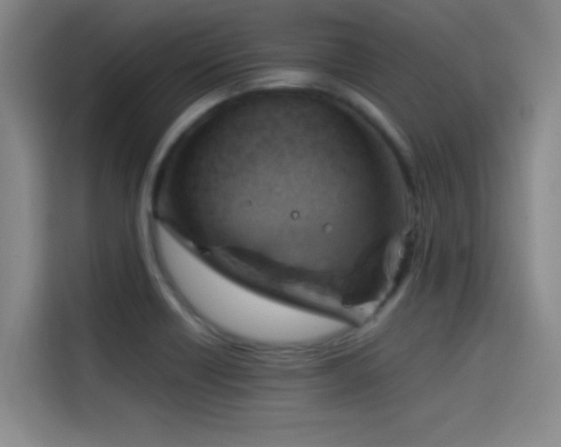 X0000114431418200910161326