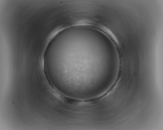 X0000114431419200910161326