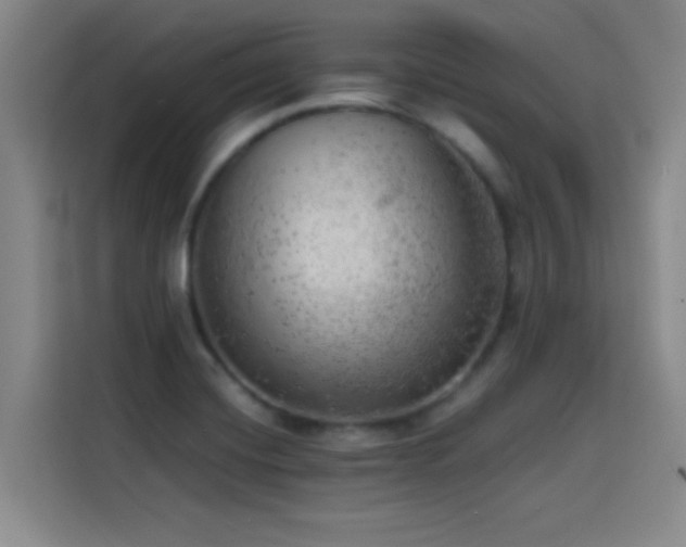 X0000114431420200910161326