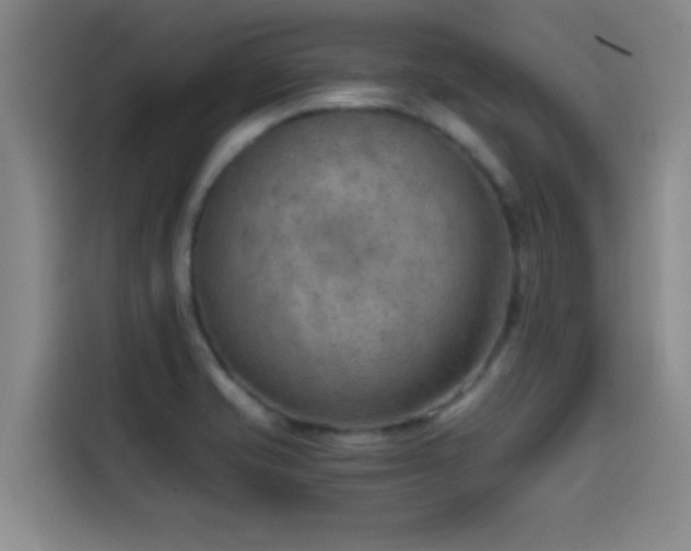 X0000114431421200910161326