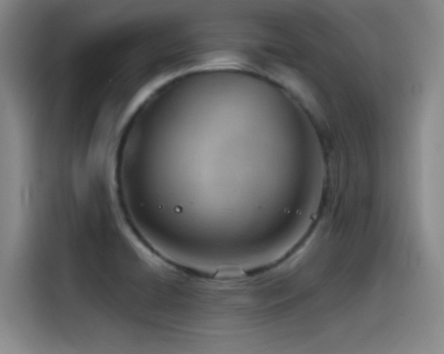 X0000114431422200910161326