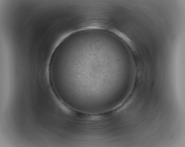X0000114431423200910161326