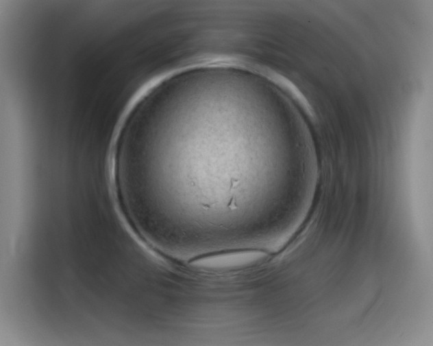 X0000114431424200910161326