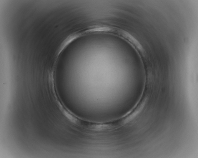 X0000114431425200910161326