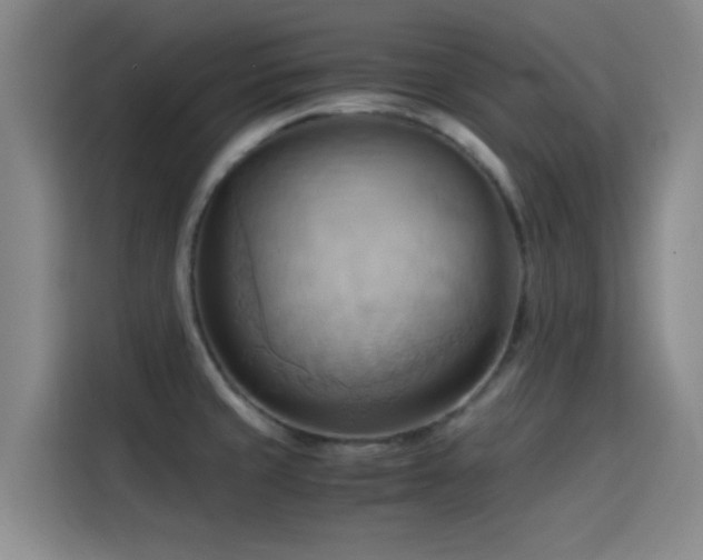 X0000114431429200910161326