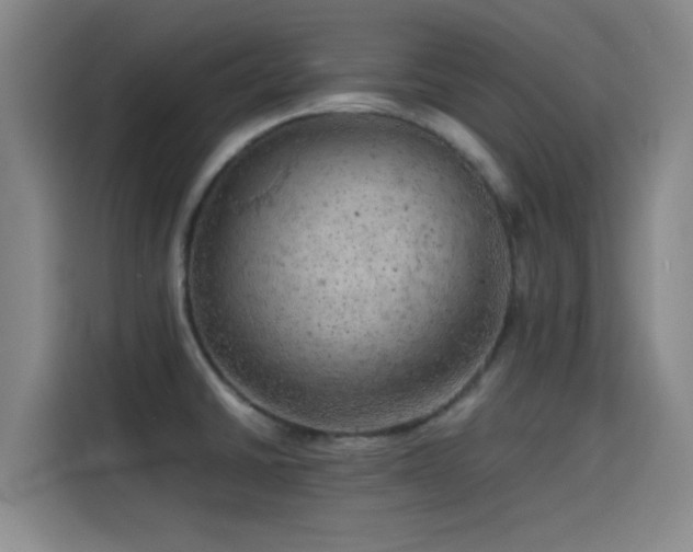 X0000114431430200910161326