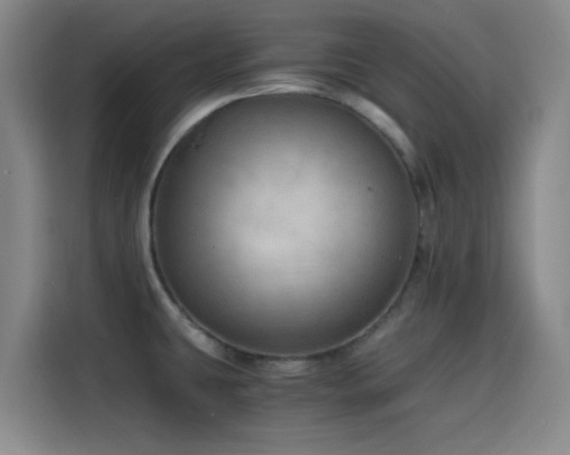 X0000114431431200910161326