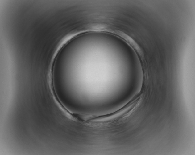 X0000114431432200910161326