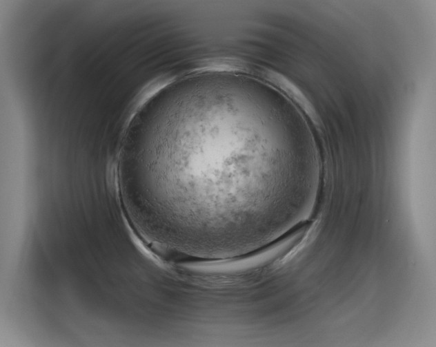 X0000114431433200910161326