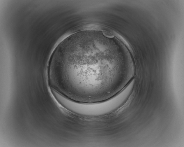 X0000114431434200910161326