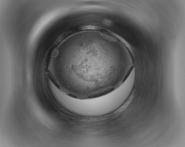 X0000114431438200910161326