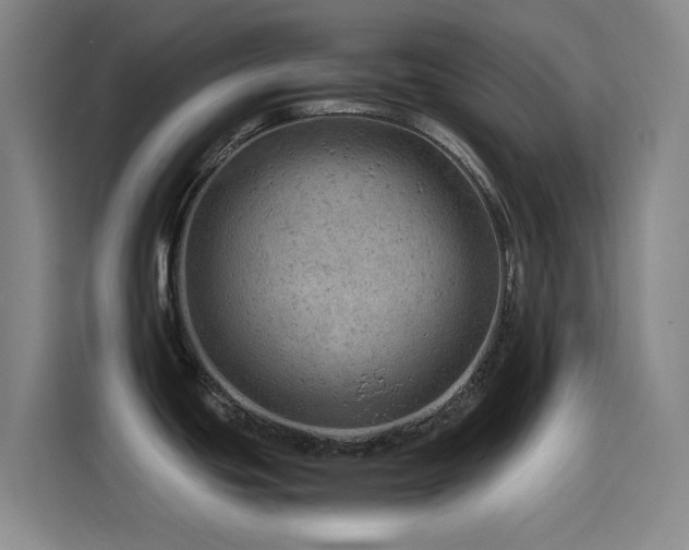 X0000114431439200910161326