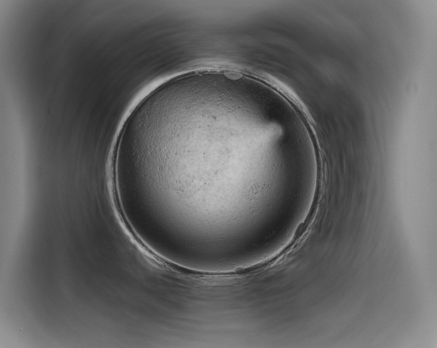 X0000114431440200910161326